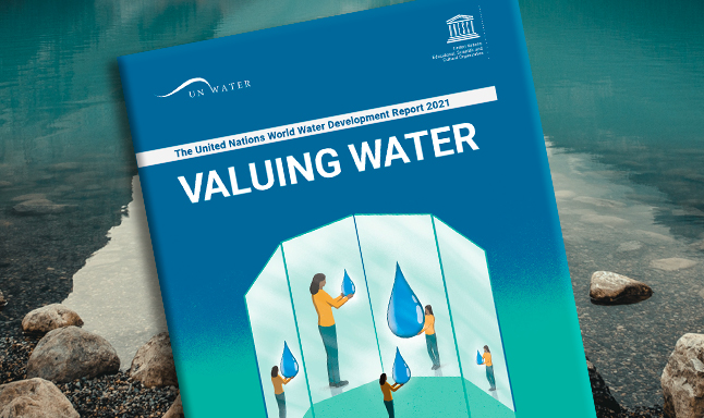 Valuing Water: The 2021 edition of the UN World Water Development Report